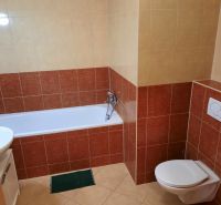 A bathroom with a bathtub and toilet in a 2-room apartment, surrounded by ceramic tiles.