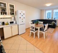 Kitchen and living room in a 2-room apartment with a wooden decor floor, dining table, and sofa.