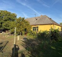 A family house in Komárno with a large garden and vineyard, fenced plot.