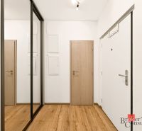 Entrance hallway with wood-patterned flooring and mirrored wardrobes in a 2-room apartment.