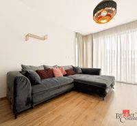 Living room in a two-room apartment with a corner sofa and a wooden decor floor.