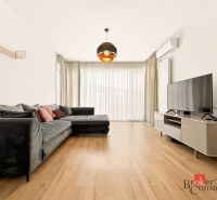 Living room in a two-room apartment with a sofa and wooden decor flooring.