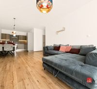 2-room apartment with a comfortable sofa, kitchen in the background, floor with wooden decor.