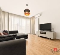 Living room with wood-patterned flooring, a large sofa, and a TV in a 2-room apartment.