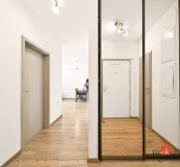 The entrance hall in a 2-room apartment with a wooden decor floor and a mirrored wardrobe.