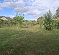 Land - residential in Viničné on Hlavná Street with fruit trees and a vineyard.