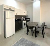 A kitchen in a 2-room apartment with a dining table, refrigerator, and washing machine.