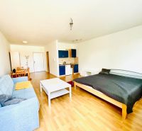 A one-room apartment with a sofa, bed, and floor with a wooden decor.
