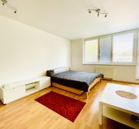 Bright room with wood-patterned flooring, bed, and simple furniture. Studio apartment.
