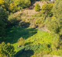 Recreational plots in Štiavnické Bane surrounded by dense vegetation and trees.