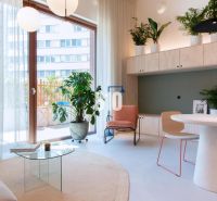 A bright interior of a 2-room apartment with round lights, plants, and a glass table.