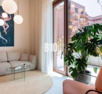 Living room in a two-room apartment with a sofa, an armchair, and a houseplant.