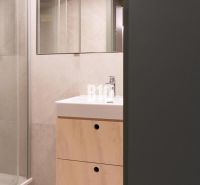 Bathroom with a sink and a shower in a 2-room apartment.