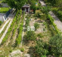 Gardens in Bratislava II with a vineyard, trees, and a shelter, surrounded by pathways.