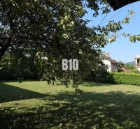 A family house in Žilina with a garden, a fruit tree, and a lawn.