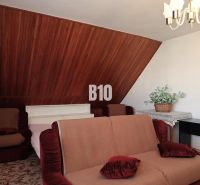 A room with a beige sofa, wooden paneling, decorative greenery in a family house.