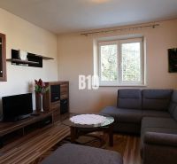 A living room in a family house with a comfortable sofa and a wooden decor floor.