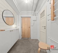 Entrance hallway with a white wardrobe and a mirror in a 2-room apartment.