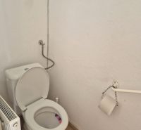 A toilet in a family house with a wooden decor floor.