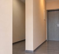 A hallway in a family house with a wooden decor floor and neutral walls.