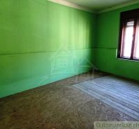 Green walls and a wooden decor floor in commercial spaces.