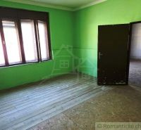 A room in commercial premises with green walls and a wooden decor floor.