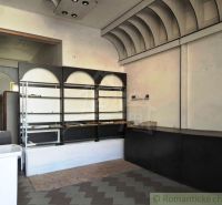 Interior space with a counter, shelves, and flooring with a wood design.