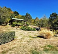 A cottage in Modrý Kameň surrounded by a garden and nature on a sunny day.