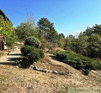 A garden by the cottage surrounded by greenery in Modrý Kameň under the blue sky.