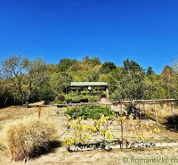 A cottage in Modrý Kameň surrounded by trees, vineyards, and a clear blue sky.