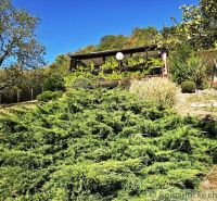 A garden by the cottage in Modrý Kameň, surrounded by greenery and fruit trees.