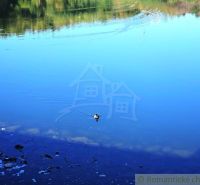 A duck swims on the calm waters of the lake in the Gardens near Krupina.