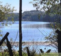 A view of the lake between the trees in the Gardens in Krupina.