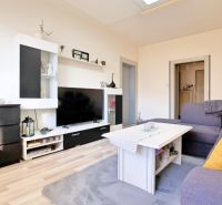 Living room in a two-room apartment with a sofa, decorations, and a wooden decor floor.