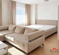Living space with a sofa, bed, and wood-decor floor in a studio apartment.