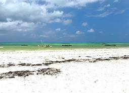 Beach-Paje