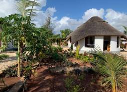 House near beach garden view.jpg