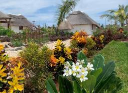 Villa surrounded by a blooming fragrant garden.jpg