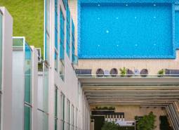 A rooftop pool, surrounded by a building and greenery, Apartment construction in Pattaya.