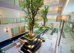 Interior with central greenery and glass corridors in apartment construction.