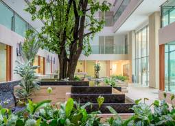Bright interior with plants and an indoor courtyard, apartment construction.