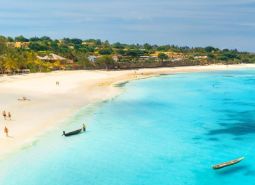 The coast in Nungwi with a beach and the Indian Ocean, also visible is a villa among the palm trees.