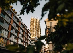 A high-rise building in the background of a street with greenery and residential units in Bratislava.