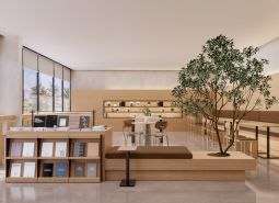 Modern interior with minimalist furniture and a large number of books in apartment developments.