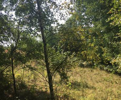 Sale Land – for living, Bratkovica, Detva, Slovakia