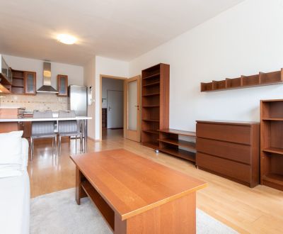Furnished 1-bdrm apartment in Bratislava for rent