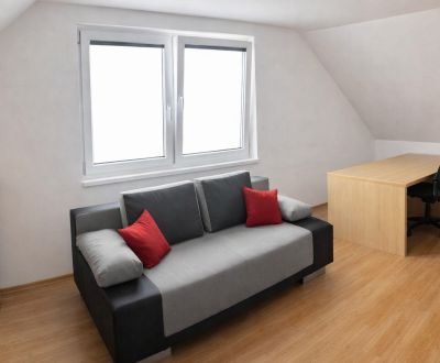 Offices, Veľká Okružná, Rent, Žilina, Slovakia