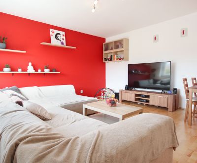Furnsihed and renovated 1-bdrm apartment 