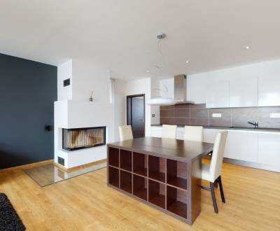 Modern three-room flat in the city centre