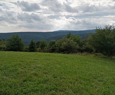 Sale Recreational land, Zlaté Moravce, Slovakia